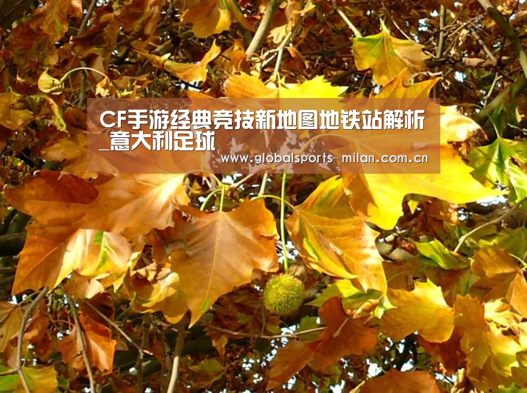 意甲联赛
