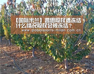 【国际米兰】普思股权遭冻结 什么情况股权会被冻结?(图2) 米兰赛事