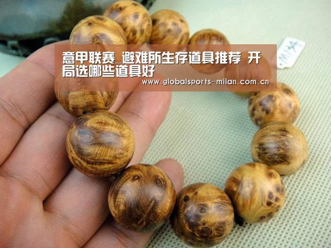意甲联赛_避难所生存道具推荐 开局选哪些道具好(图3) 意大利足球