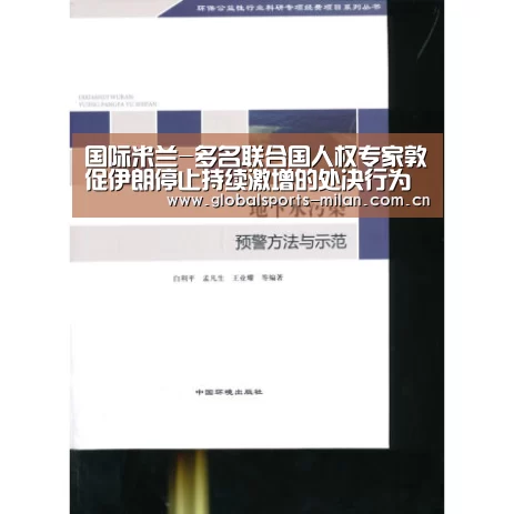 意大利足球