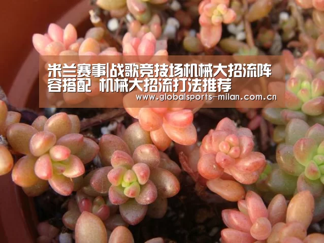 国际米兰