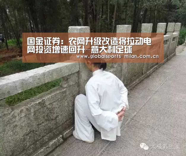 意大利足球