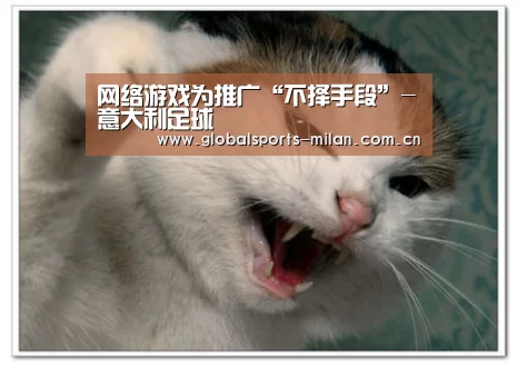 网络游戏为推广“不择手段”-意大利足球(图1) 米兰赛事