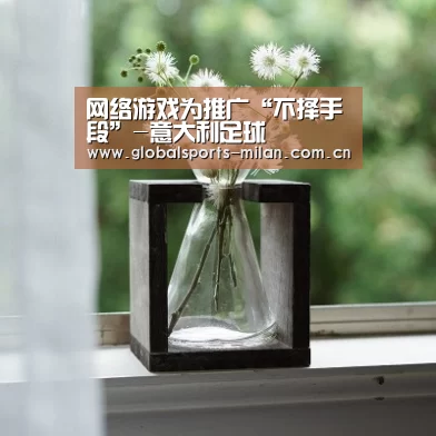 网络游戏为推广“不择手段”-意大利足球(图3) 意甲联赛