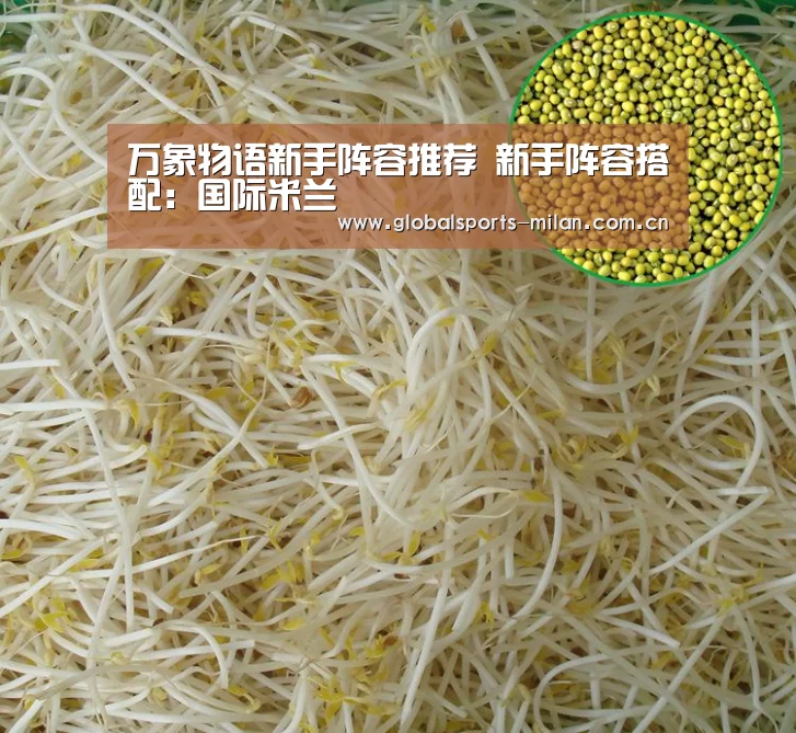 意大利足球