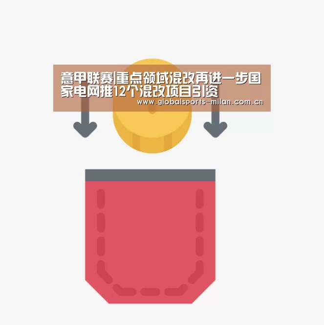 意甲联赛|重点领域混改再进一步国家电网推12个混改项目引资(图1) 意大利足球