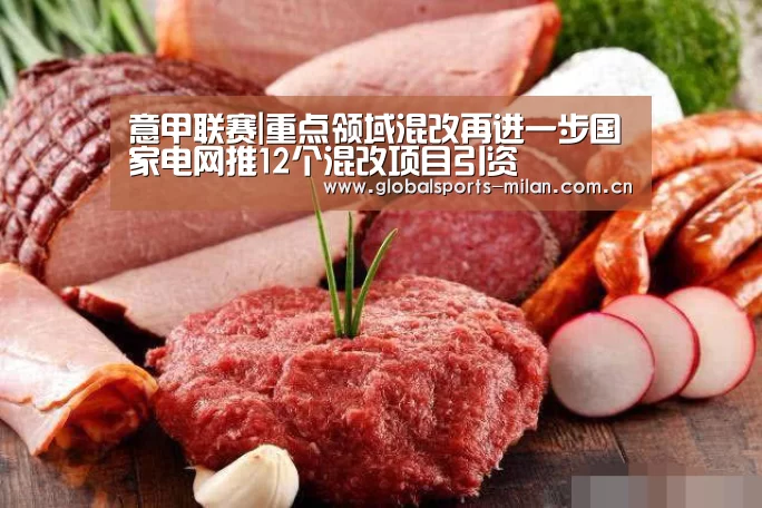意甲联赛|重点领域混改再进一步国家电网推12个混改项目引资(图2) 意大利足球