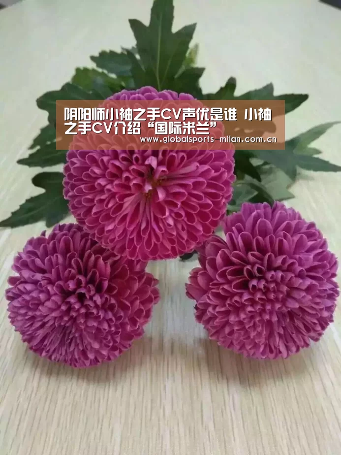 阴阳师小袖之手CV声优是谁 小袖之手CV介绍“国际米兰”(图4) 米兰赛事