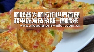 阿联酋为阿拉伯世界首座核电站发放执照-国际米兰(图1) 意大利足球